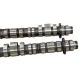 Drag Cartel Elite Endurance Cams Honda K-series K20a K20z K24a2