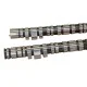 Drag Cartel Elite 005 Cams Honda K-series K20a K20z K24a2