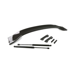 Genuine Honda Edm Carbon Wing Spoiler Civic Type R Fk8 17+