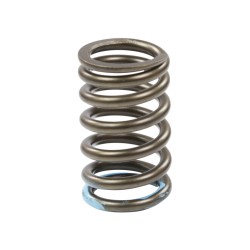 Genuine Honda Inlet Valve Spring K-Series K20A K20Z Civic Type R EP3 FN2 Integra DC5 (Light Blue)