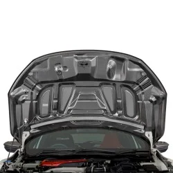 Mugen Aero Carbon Bonnet Rc20gt Honda Civic Type R Fk8