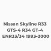 Nissan Skyline R33 GTS-4 R34 GT-4 ENR33/34 1993-2000 