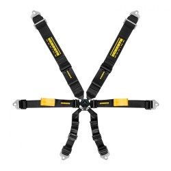 Schroth Enduro 3x2 6 Point Harness