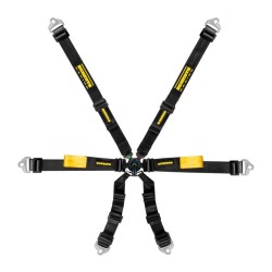 Schroth Enduro 2x2 6 Point Harness