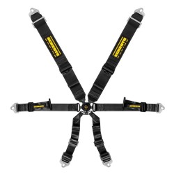 Schroth Profi 3x2 Pull Up 6 Point Harness