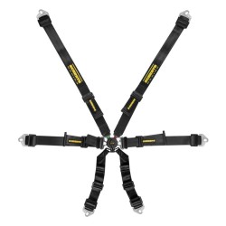Schroth Profi 2x2 6 Point Harness