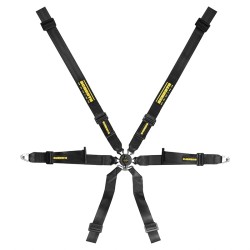Schroth Profi Xlt 2x2 Pull Down 6 Point Harness