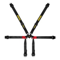 Schroth Formula 2x2 6 Point Harness