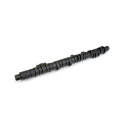 Skunk2 Tuner Series Camshafts Stage 2 Honda D-series