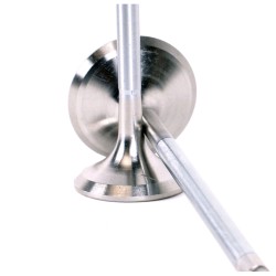 Skunk2 Alpha Series Valves Stock Size Standard Compression Honda H-series Vtec