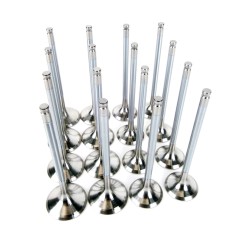 Skunk2 Alpha Series Valves Stock Size Standard Compression Honda D-series