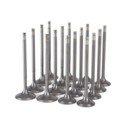 Skunk2 B-series Vtec Ultra Series Valves Stock Size Std Comp Valves