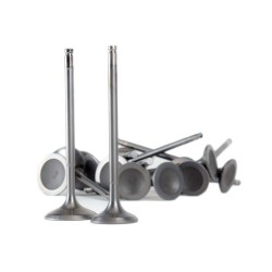 Skunk2 B-series Vtec Ultra Series Valves Stock Size Std Comp Valves