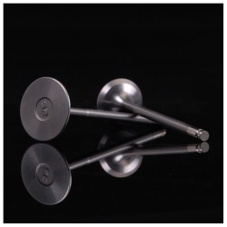 Skunk2 Ultra Series Valves Stock Size High Compression Honda K-series Vtec