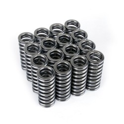 Skunk2 Alpha Valve Springs Honda D-series Vtec