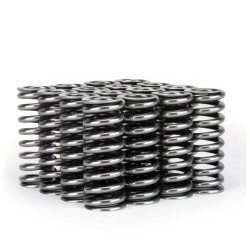 Skunk2 Alpha Valve Springs Honda D-series Vtec