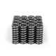 Skunk2 Alpha Valve Springs Honda D-series Vtec