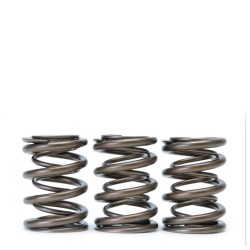 Skunk2 Alpha Valve Springs Honda F-series H-series Vtec