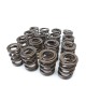 Skunk2 K-series Alpha Valve Springs