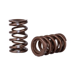 Skunk2 Pro Series Xp Valve Springs Honda K-series I-vtec
