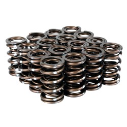 Skunk2 Pro Series Xp Valve Springs Honda K-series I-vtec