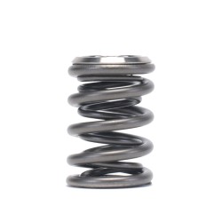 Skunk2 Honda Alpha Valve Spring And Titanium Retainer Kit B-series