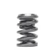 Skunk2 Honda Alpha Valve Spring And Titanium Retainer Kit B-series Skunk2 Honda Alpha Valve Spring And Titanium Retainer Kit B-series