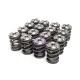 Skunk2 Honda Alpha Valve Spring And Titanium Retainer Kit B-series Skunk2 Honda Alpha Valve Spring And Titanium Retainer Kit B-series