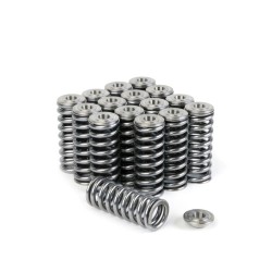 Skunk2 Alpha Valve Spring And Titanium Retainer Kit Honda D-series Sohc Vtec