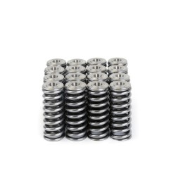 Skunk2 Alpha Valve Spring And Titanium Retainer Kit Honda D-series Sohc Vtec