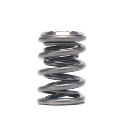 Skunk2 Alpha Valve Spring And Titanium Retainer Kit Honda K-series