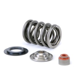 Skunk2 Alpha Dual Valve Spring And Titanium Retainers For Subaru Brz Toyota Gt86