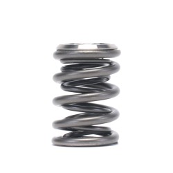 Skunk2 Alpha Dual Valve Spring And Titanium Retainers For Subaru Brz Toyota Gt86