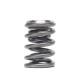 Skunk2 Alpha Dual Valve Spring And Titanium Retainers For Subaru Brz Toyota Gt86