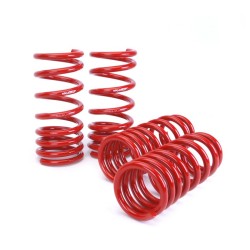 Skunk2 Lowering Springs 08+ Nissan 370z