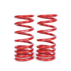 Skunk2 Lowering Springs 08+ Nissan 370z