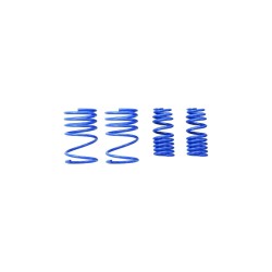 Spoon Sports Progressive Lowering Springs Honda Integra Dc5 Fl 05-06