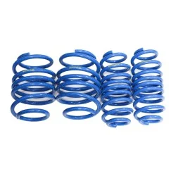 Spoon Progressive Lowering Springs Honda Civic Type R Fk8 17+