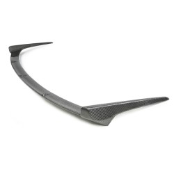 Tegiwa Carbon Rear Wing Spoiler Blade Honda Civic Type R FN2
