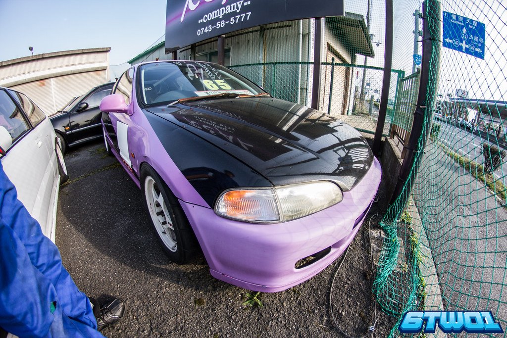 purple with black bonnet
