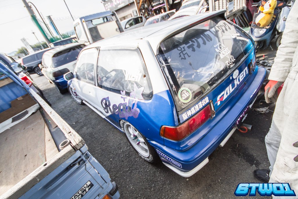 blue and white back of car