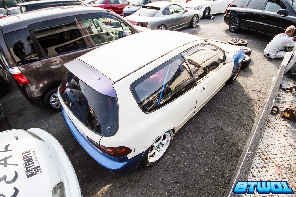blue and white back right view